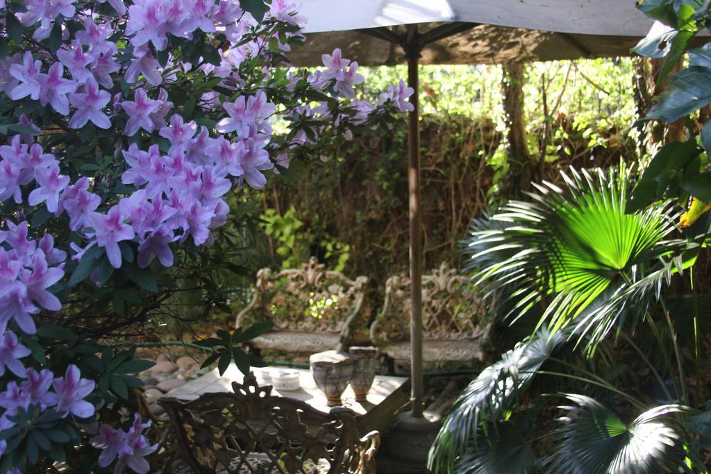Bed and Breakfast La Casona De Grace à Olivos Extérieur photo